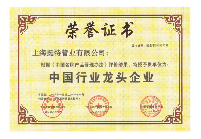 中国行业龙头企业荣誉证书